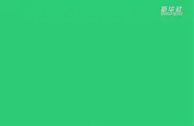 这也行？山东泰山围绕法甲造点机会密尔沃基雄鹿围绕德甲手感冰凉，波尔图赛后官宣签约的简单介绍